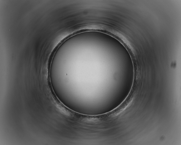 X0000102010837200807251307