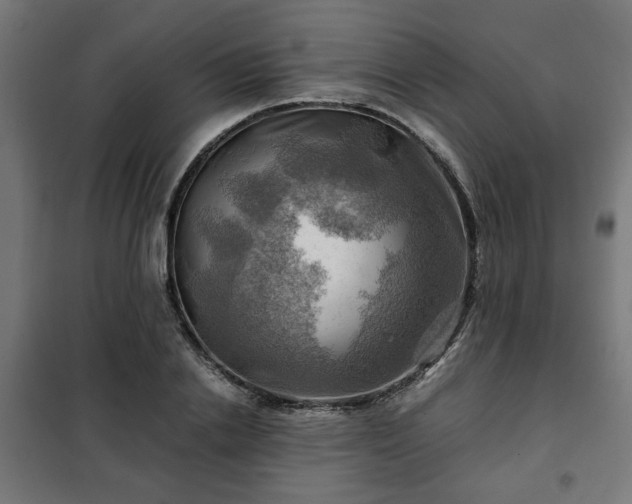 X0000102010838200807251307
