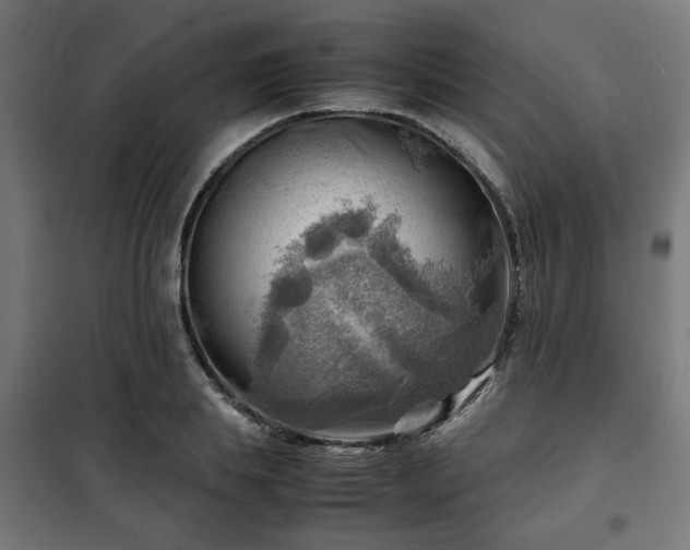 X0000102010839200807251307