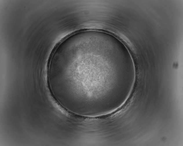 X0000102010840200807251307