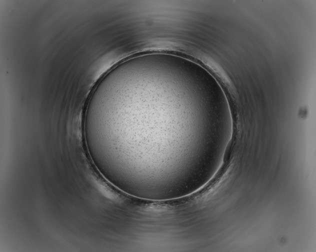 X0000102010842200807251307
