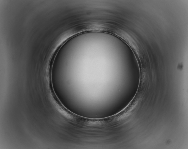 X0000102010843200807251307