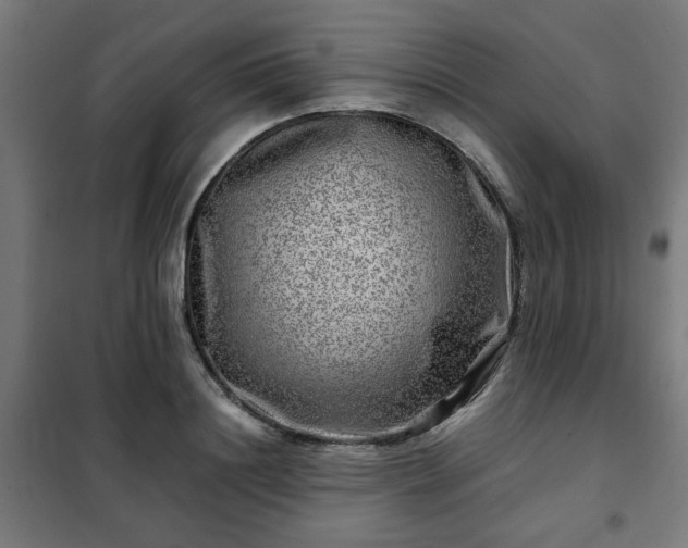 X0000102010844200807251307