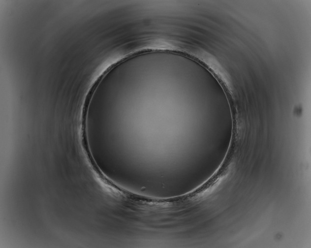 X0000102010845200807251307