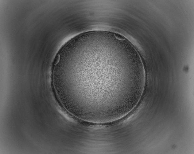 X0000102010846200807251307