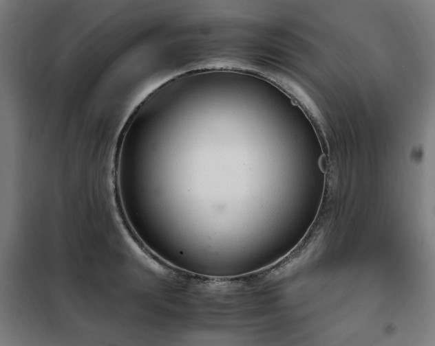 X0000102010847200807251307