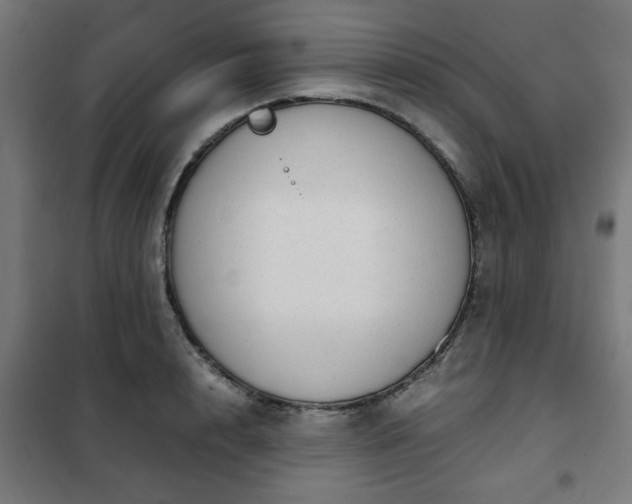 X0000102010848200807251307