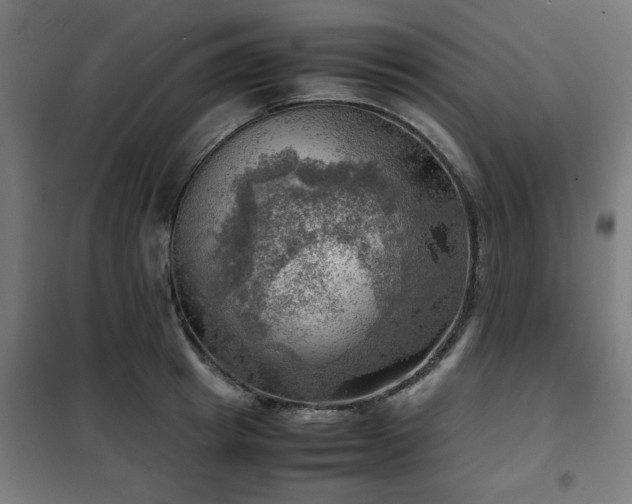 X0000102010849200807251307
