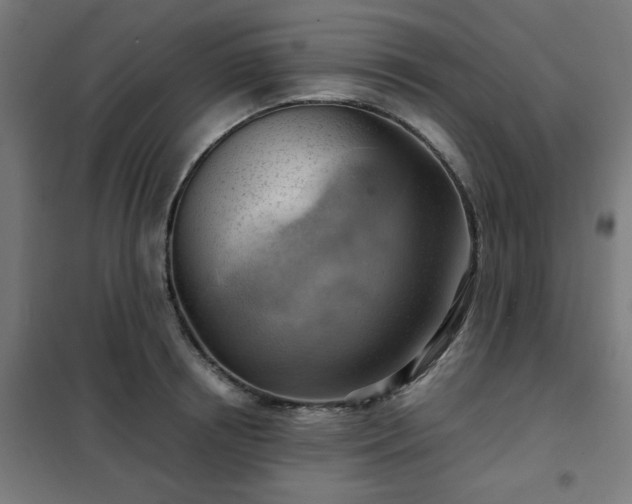 X0000102010850200807251307
