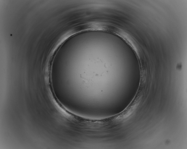 X0000102010851200807251307