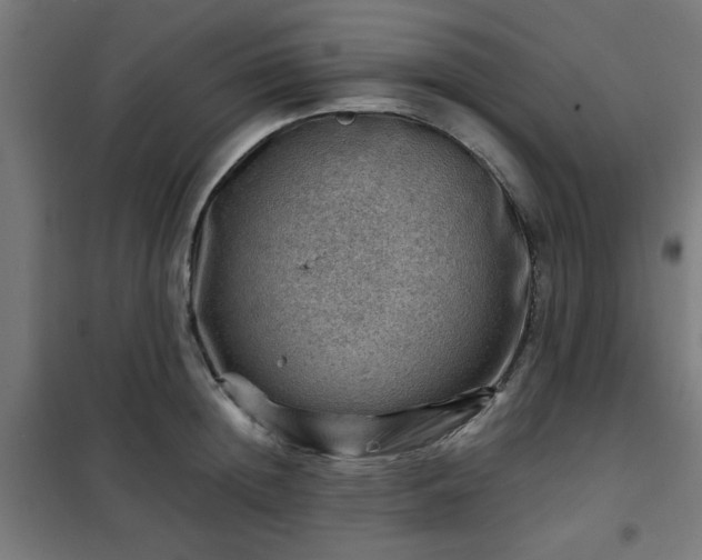 X0000102010852200807251307