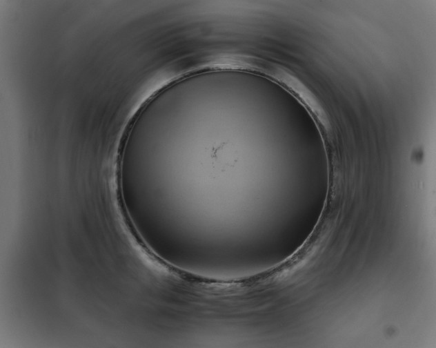 X0000102010853200807251307