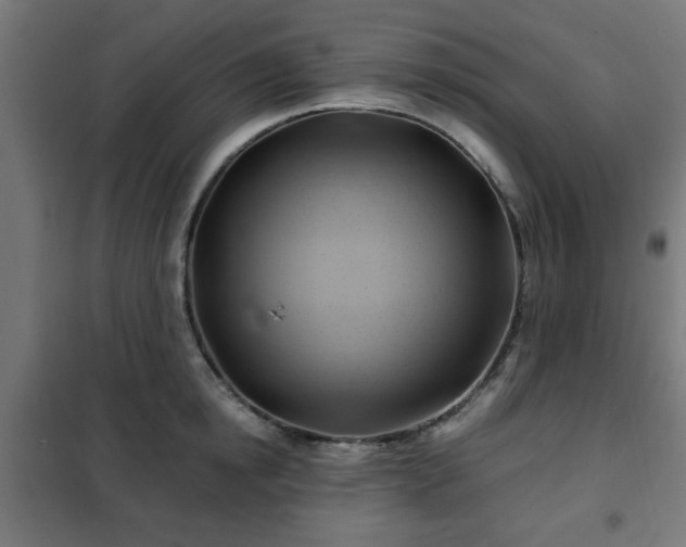 X0000102010854200807251307