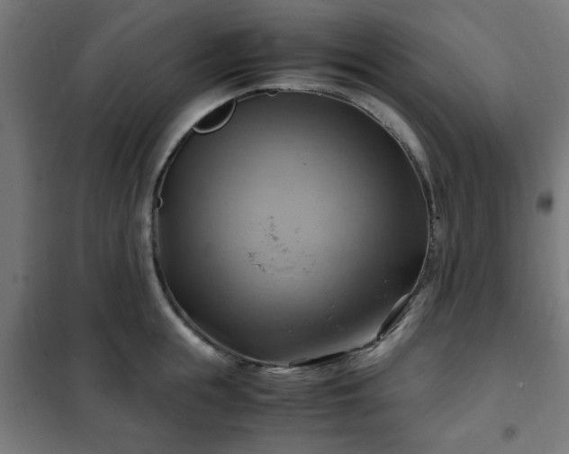X0000102010855200807251307