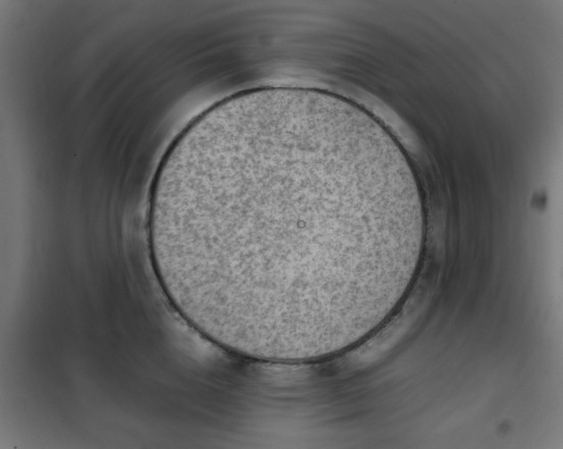 X0000102010856200807251307