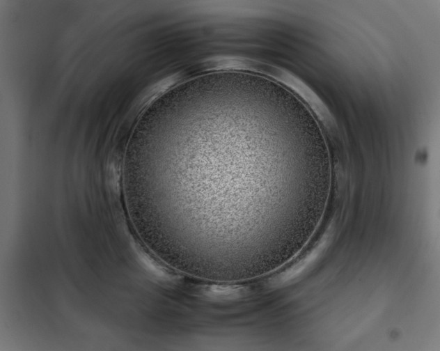X0000102010857200807251307