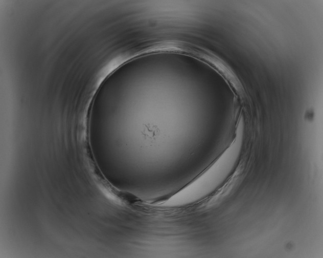 X0000102010858200807251307
