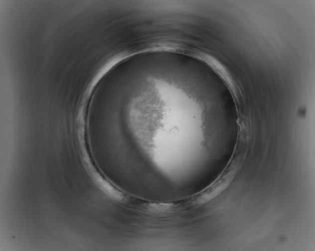 X0000102010859200807251307