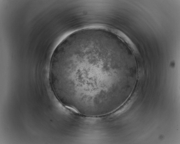 X0000102010860200807251307