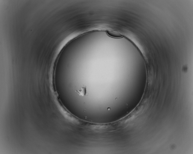 X0000102010861200807251307