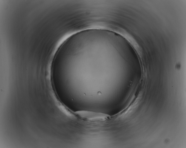 X0000102010862200807251307