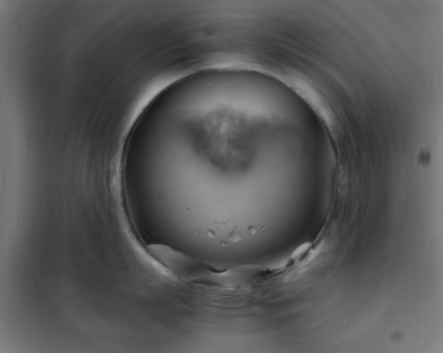 X0000102010863200807251307