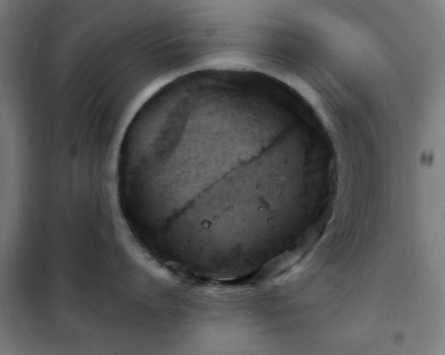 X0000102010864200807251307