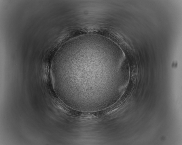 X0000102010866200807251306