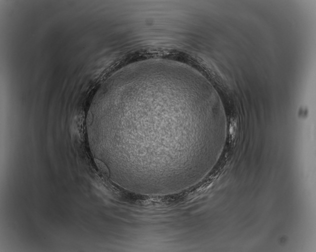 X0000102010867200807251306