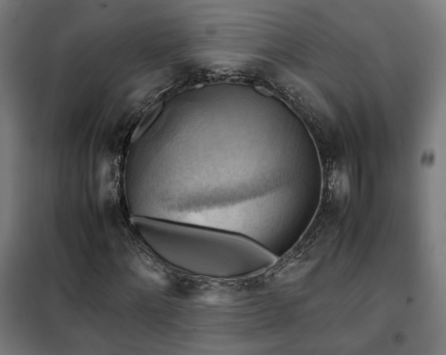 X0000102010868200807251306