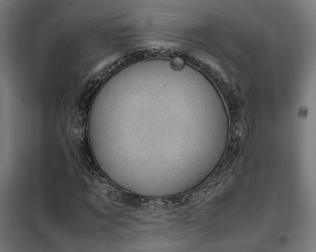 X0000102010869200807251306