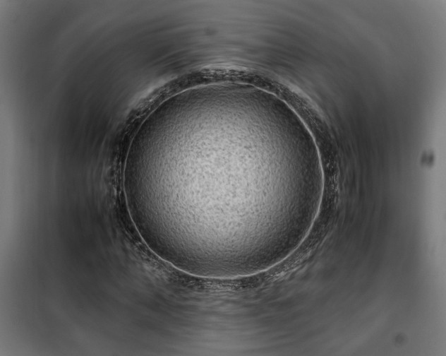 X0000102010870200807251306