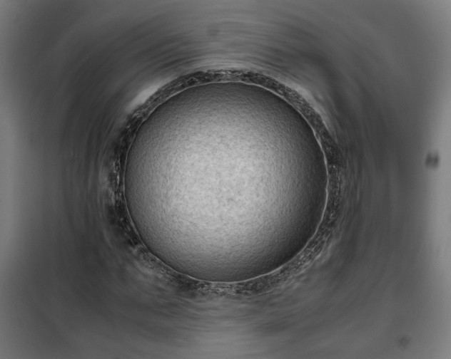 X0000102010871200807251306