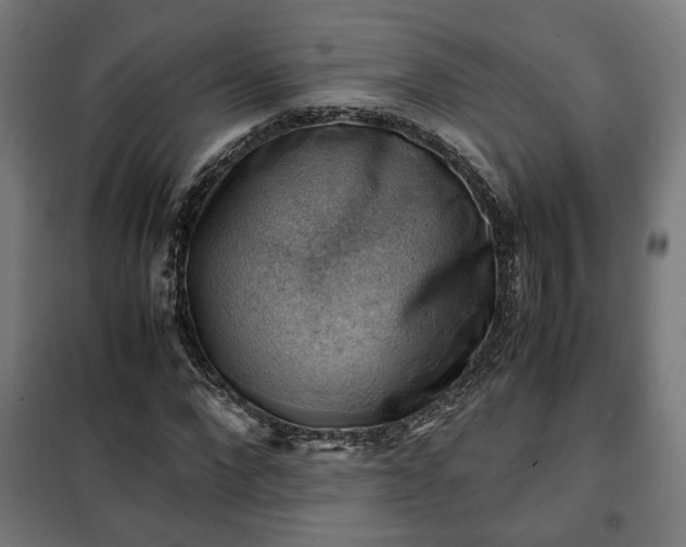 X0000102010872200807251306