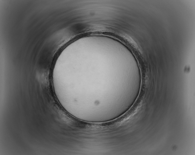 X0000102010873200807251306