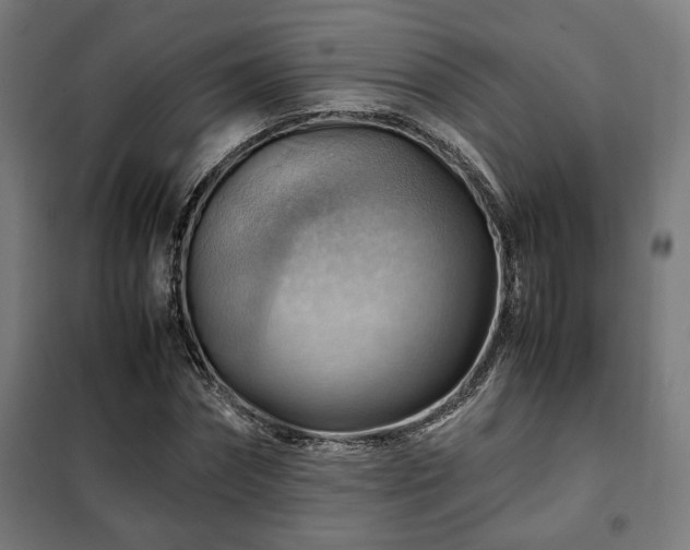 X0000102010874200807251306
