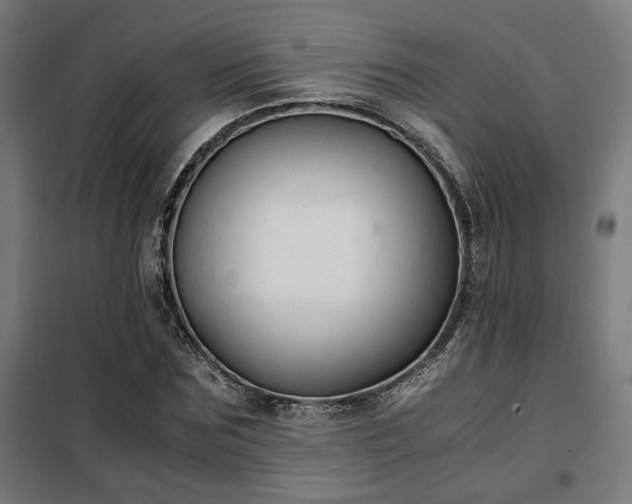 X0000102010875200807251306
