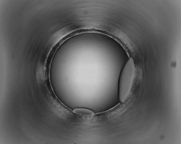 X0000102010876200807251306