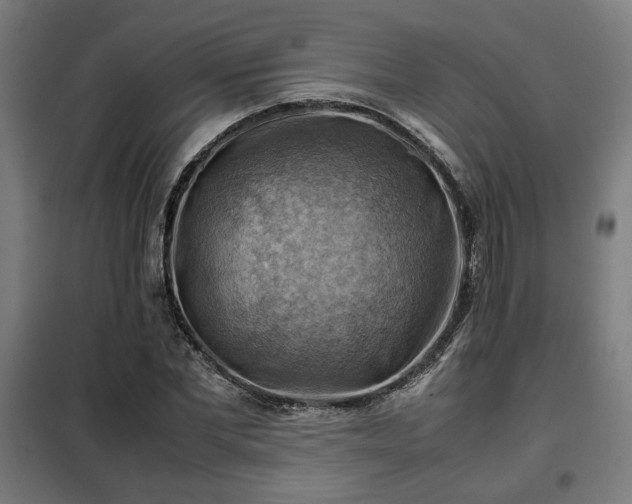 X0000102010877200807251306