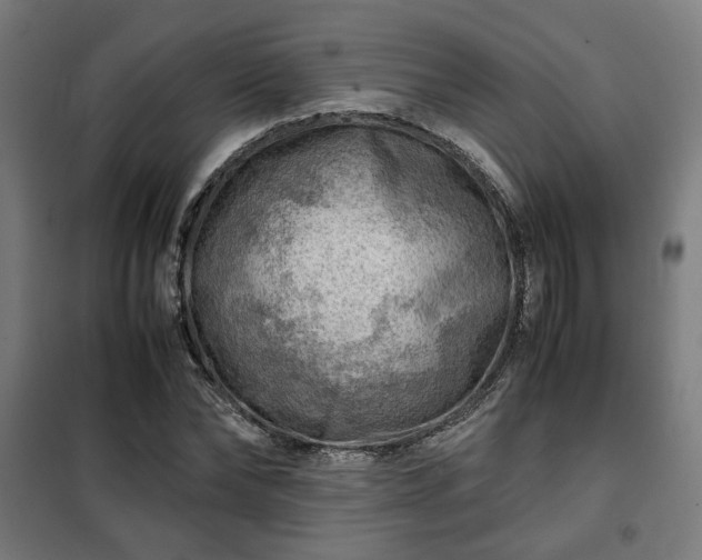 X0000102010878200807251306