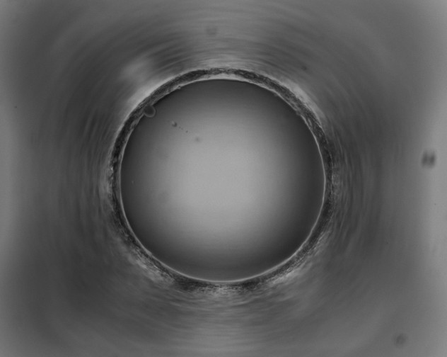 X0000102010879200807251306