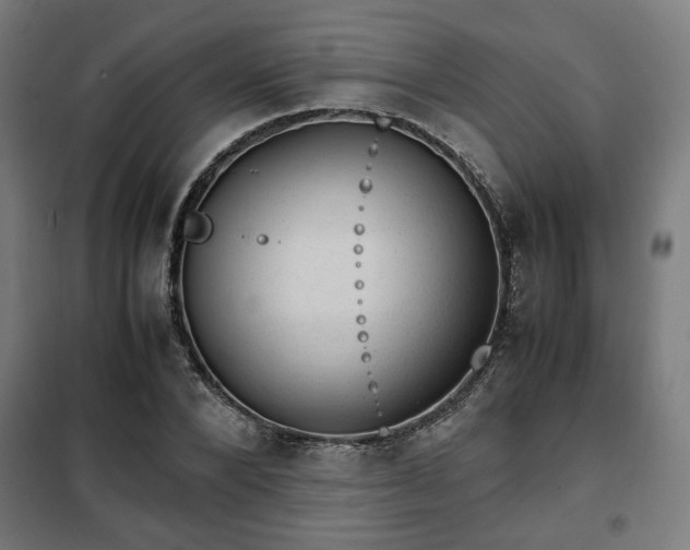 X0000102010880200807251306