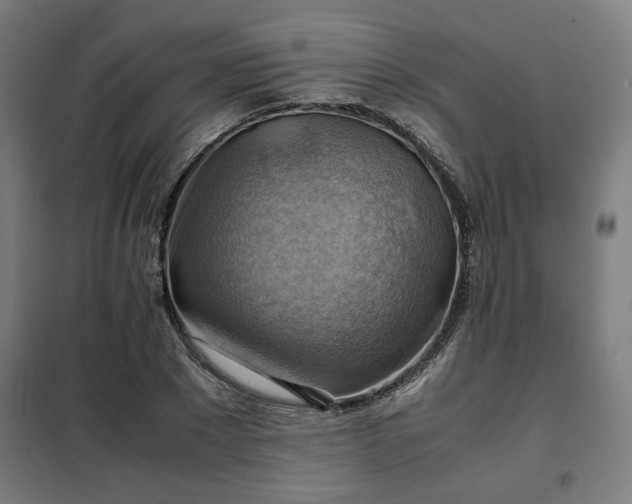 X0000102010881200807251306