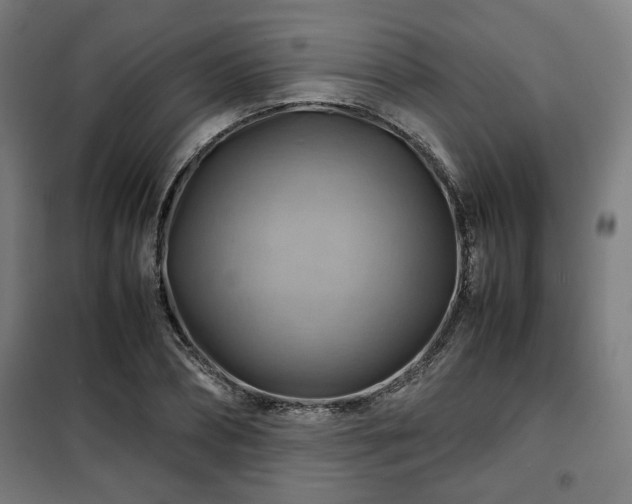 X0000102010882200807251306