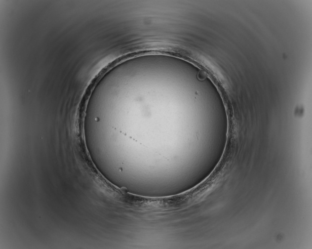 X0000102010883200807251306