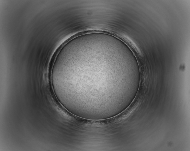 X0000102010884200807251306