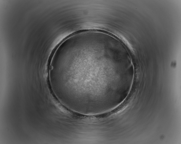 X0000102010885200807251306