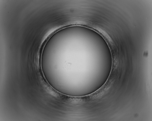 X0000102010886200807251306