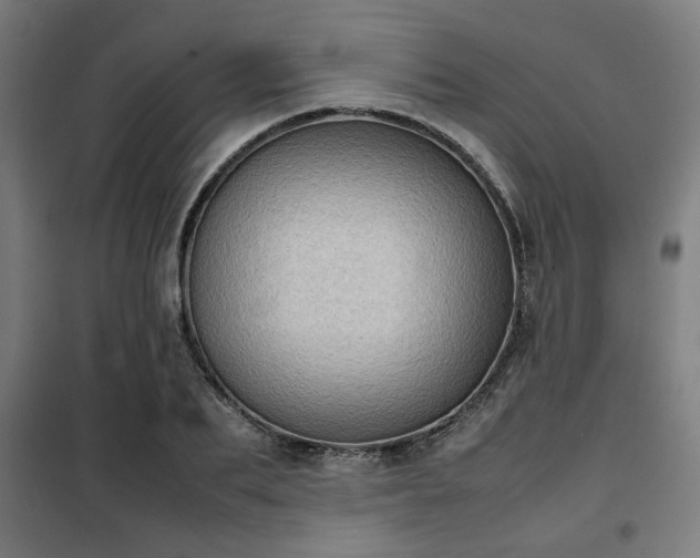 X0000102010887200807251306
