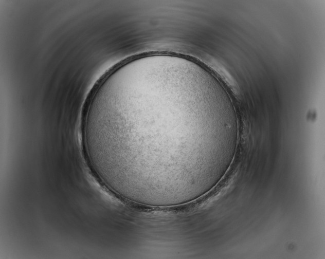 X0000102010888200807251306